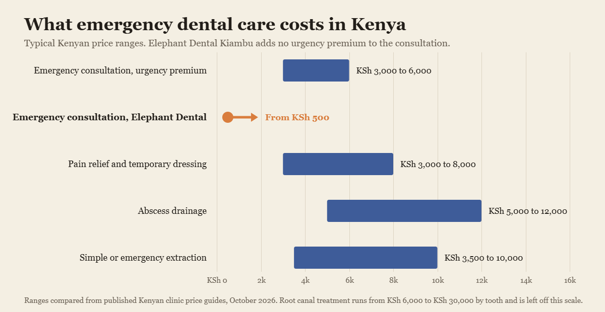 Chart of emergency dental care costs in Kenya with an emergency dentist in Kiambu consultation from KSh 500
